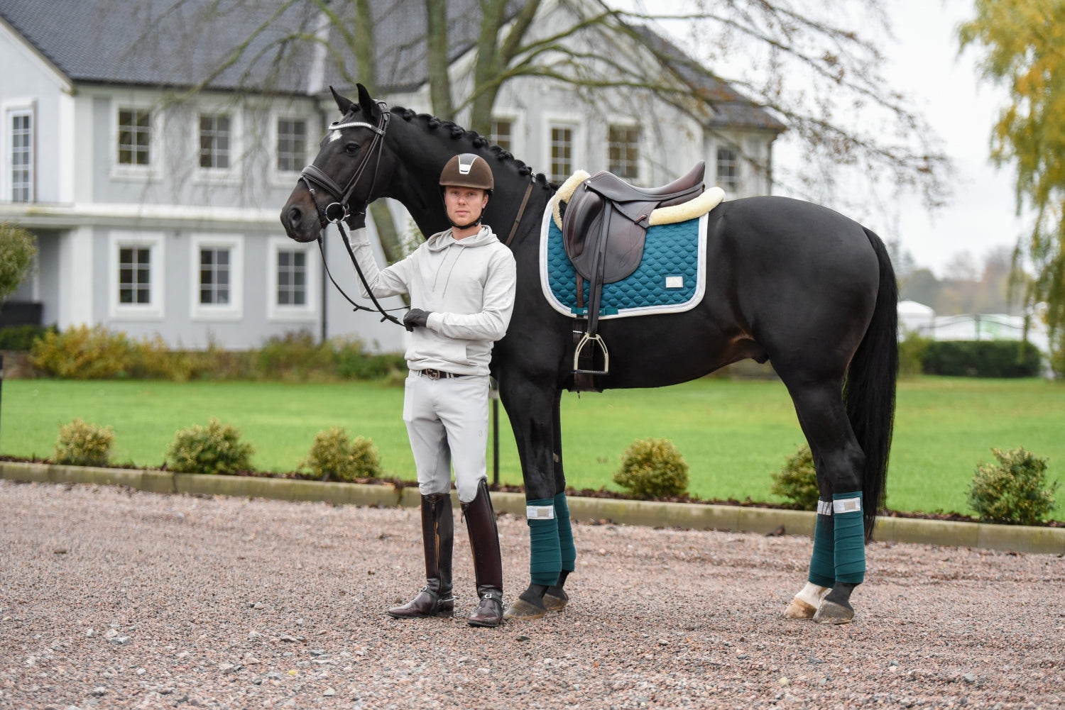 SD Design saddle pad Be Tempted shamrock cupcake