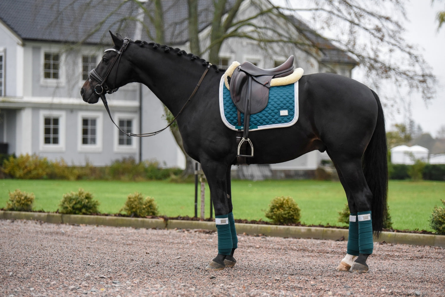 SD Design saddle pad Be Tempted shamrock cupcake
