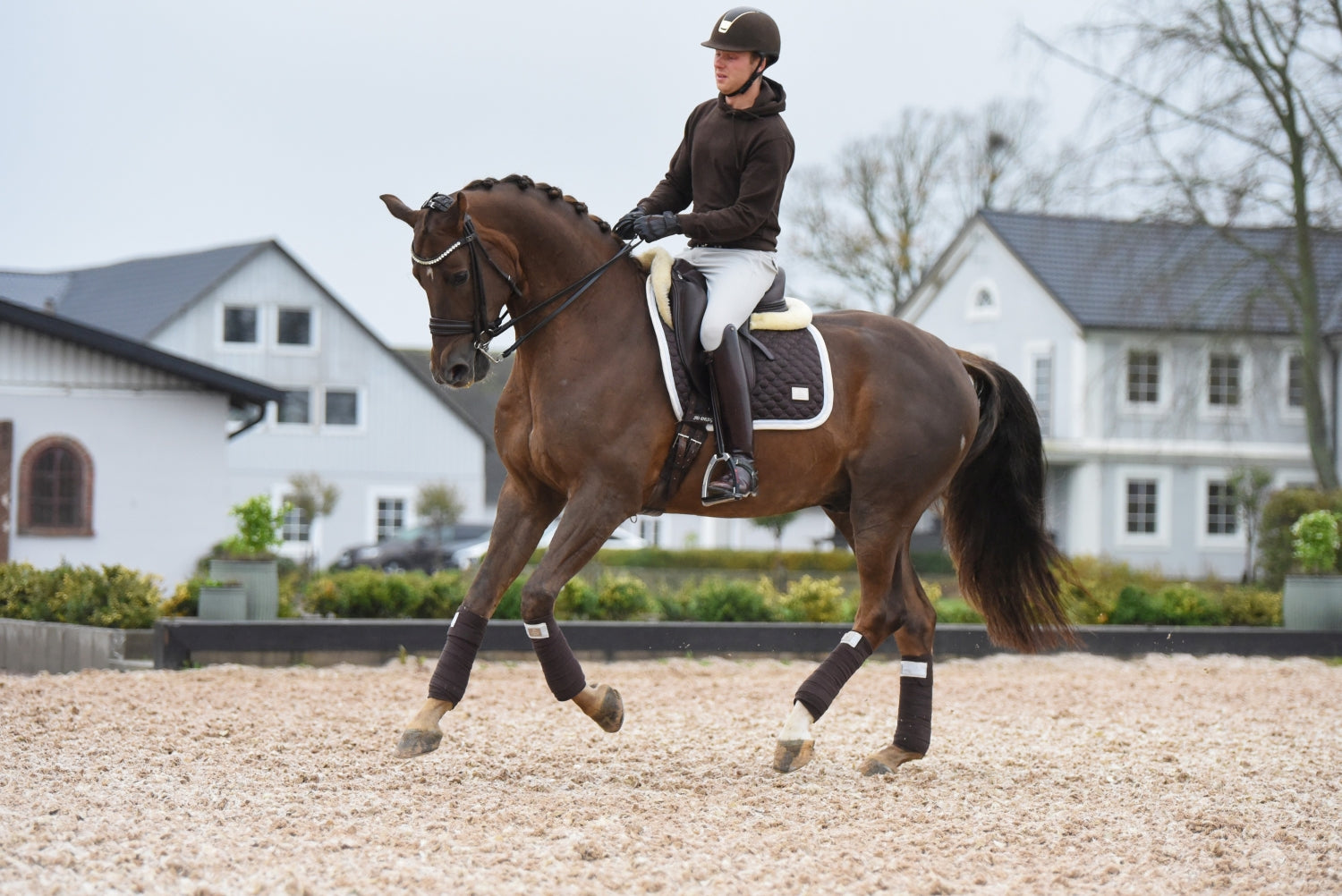 SD Design saddle pad Be Tempted chocolate macaron