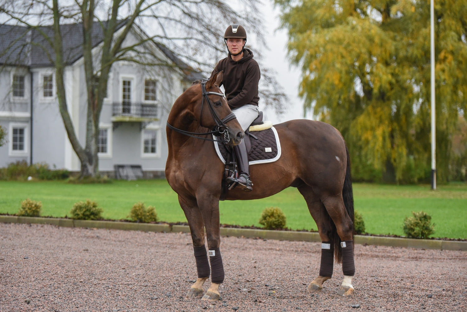 SD Design saddle pad Be Tempted chocolate macaron