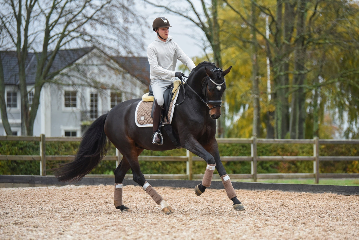 SD Design saddle pad Be Tempted nougatmousse