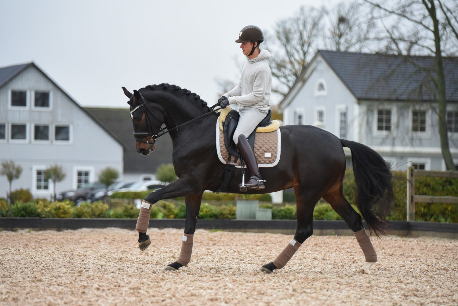 SD Design saddle pad Be Tempted nougatmousse