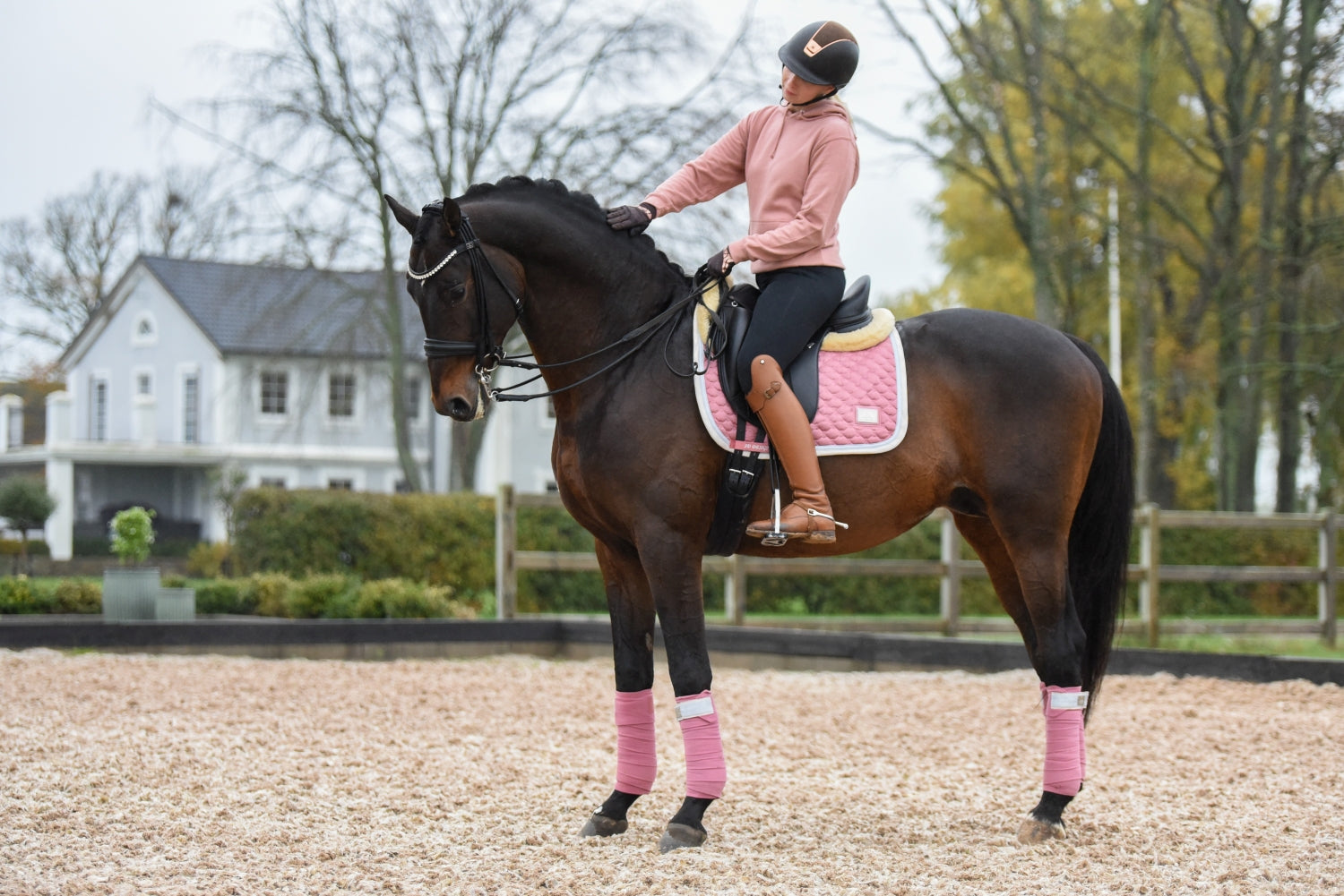 SD Design saddle pad Be Tempted candyfloss