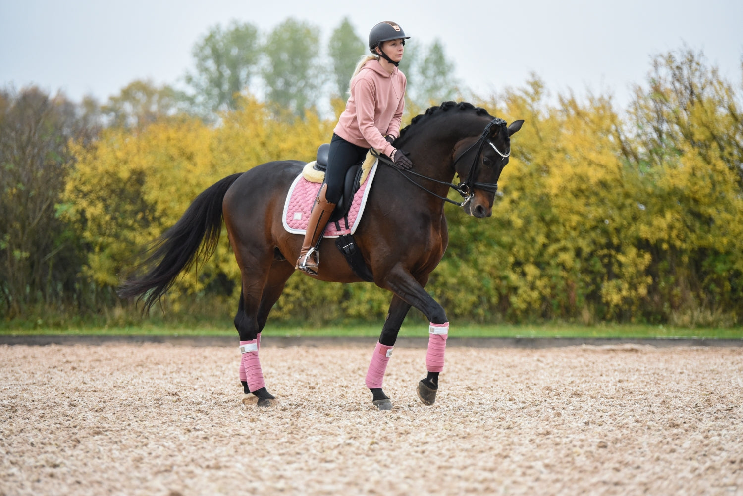 SD Design saddle pad Be Tempted candyfloss