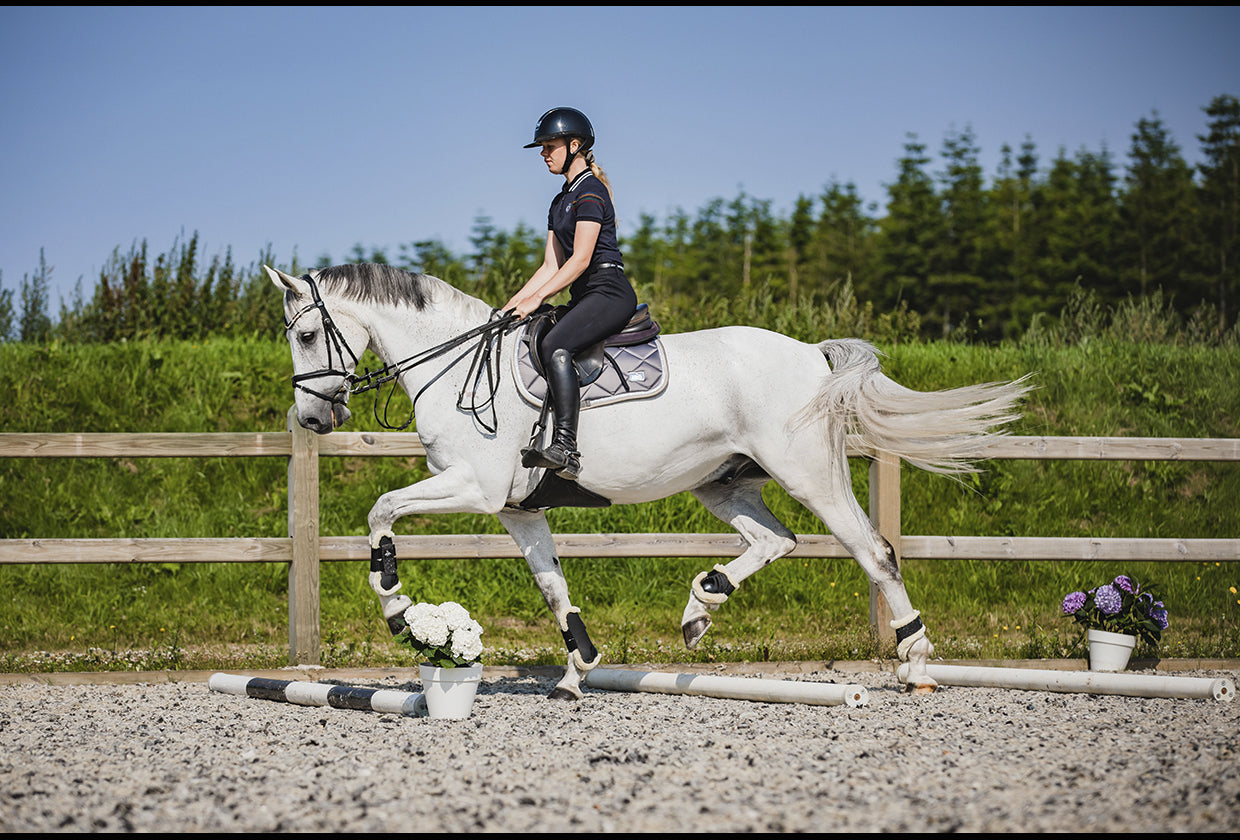 SD Design Schabracke My Passion silver glaze