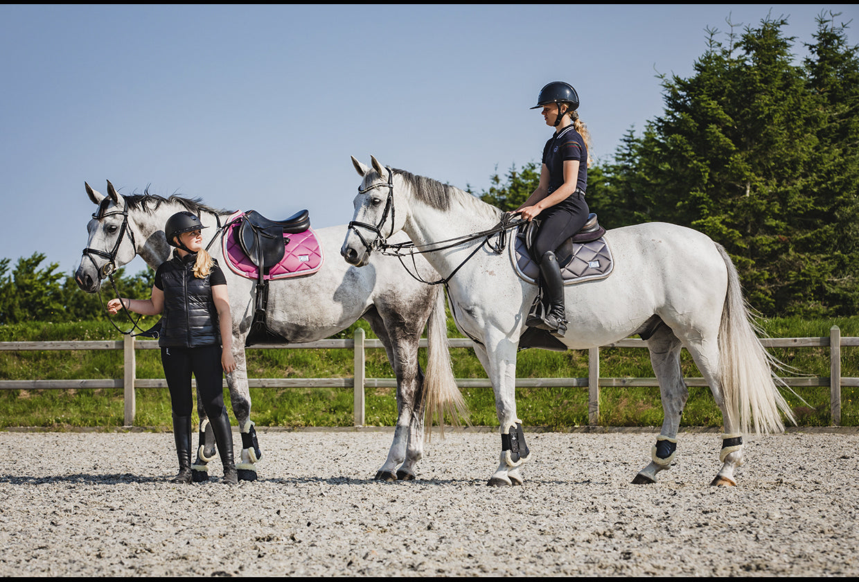 SD Design Schabracke My Passion silver glaze