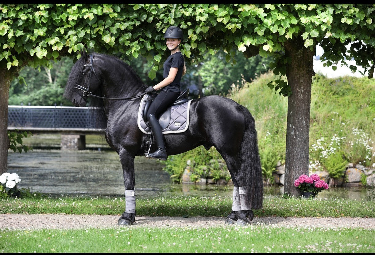 SD Design Schabracke My Passion silver glaze