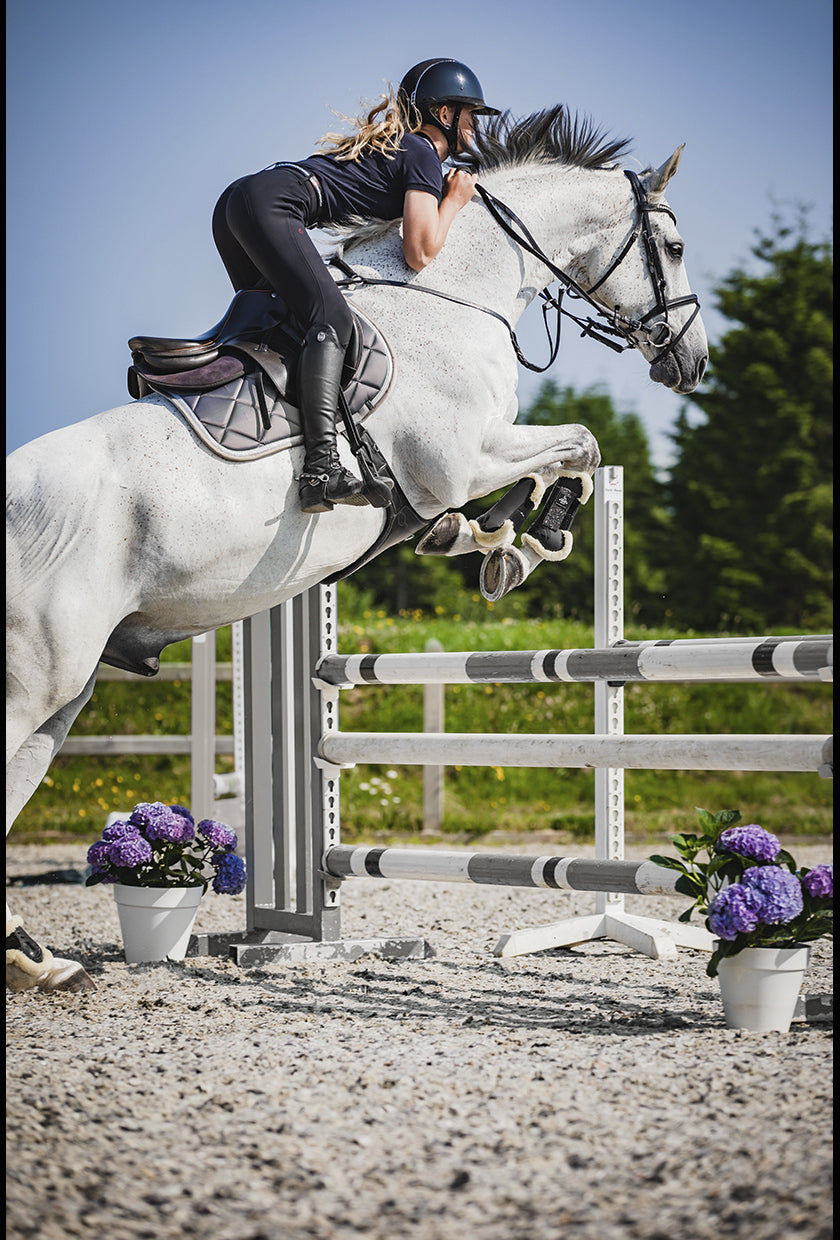 SD Design Schabracke My Passion silver glaze