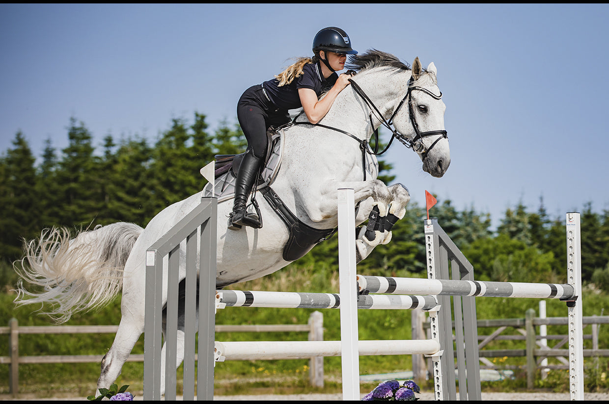 SD Design Schabracke My Passion silver glaze