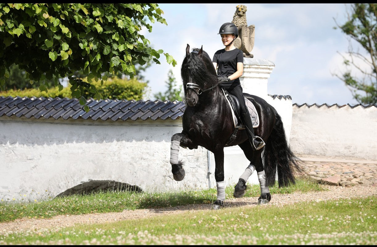 SD Design Schabracke My Passion silver glaze