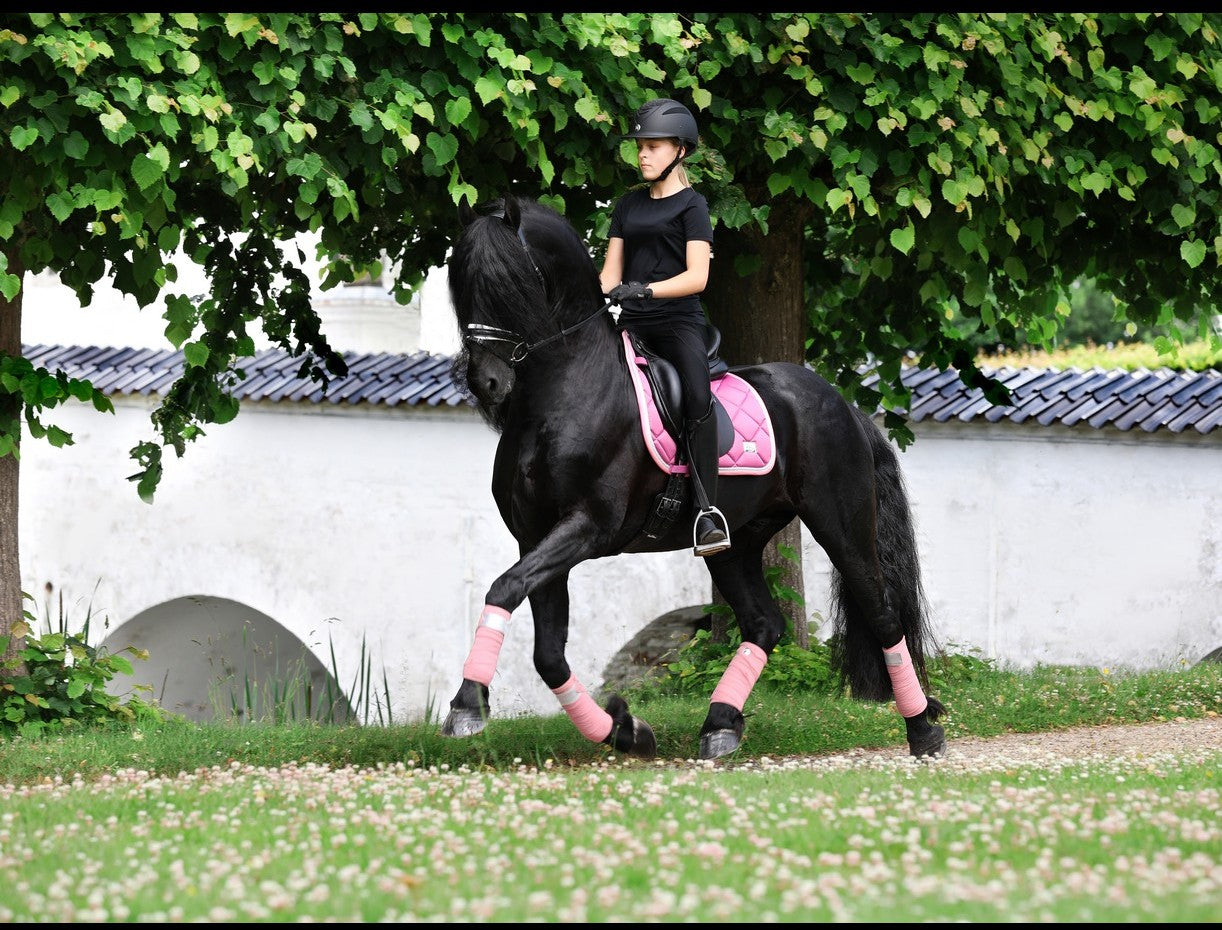 SD Design saddle pad My Passion divine rose