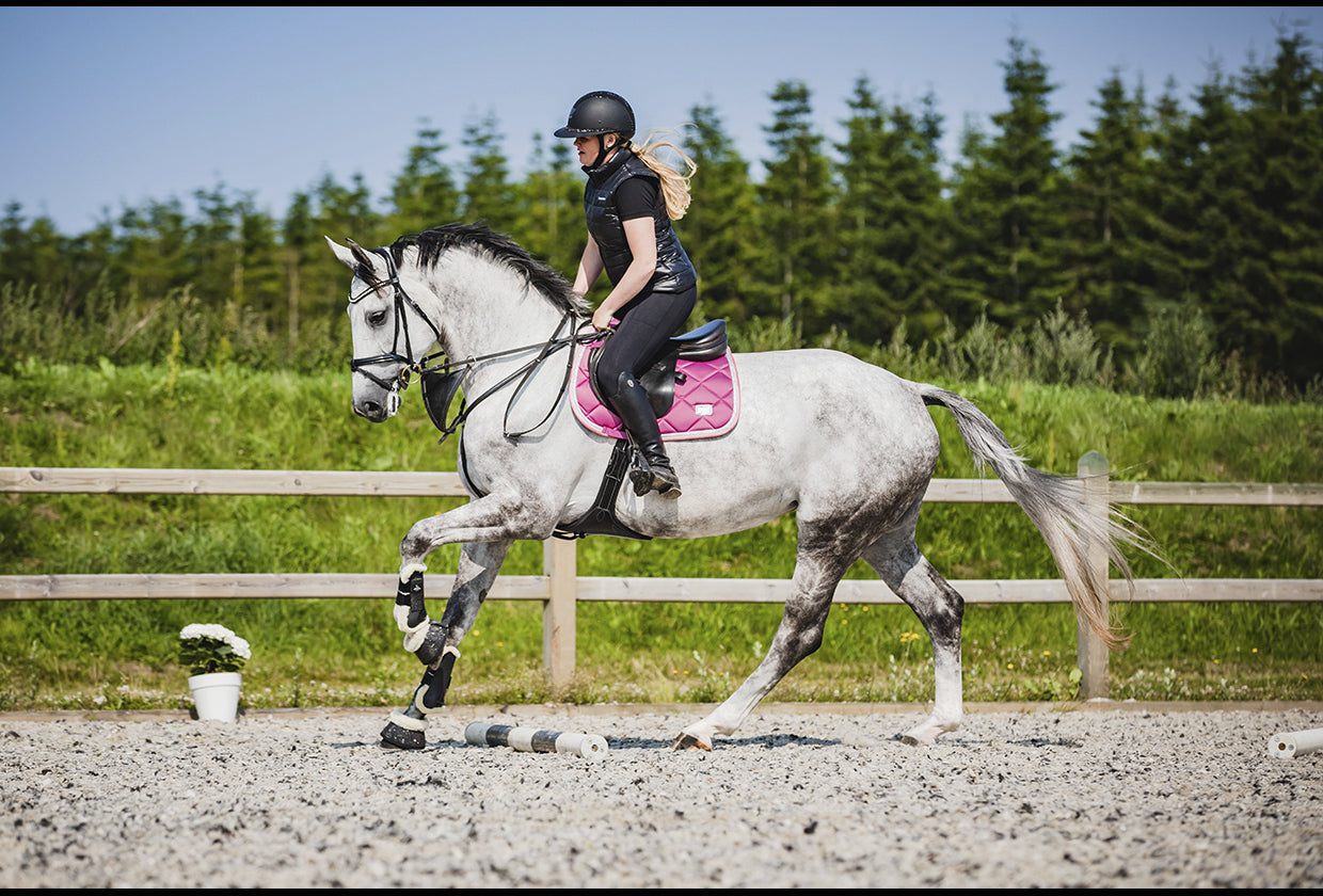 SD Design saddle pad My Passion divine rose