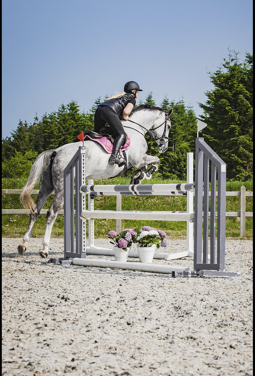 SD Design saddle pad My Passion divine rose