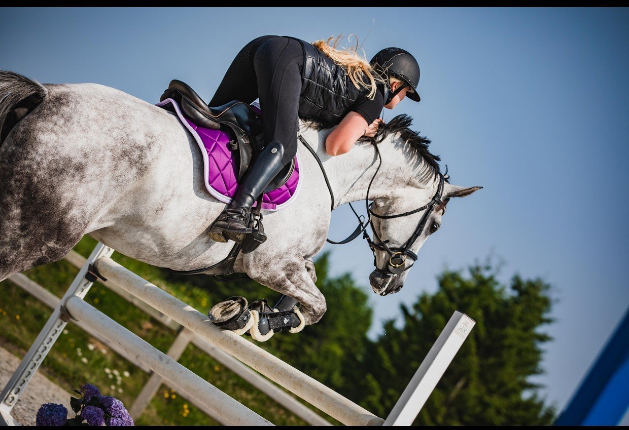 SD Design Schabracke My Passion purple dream