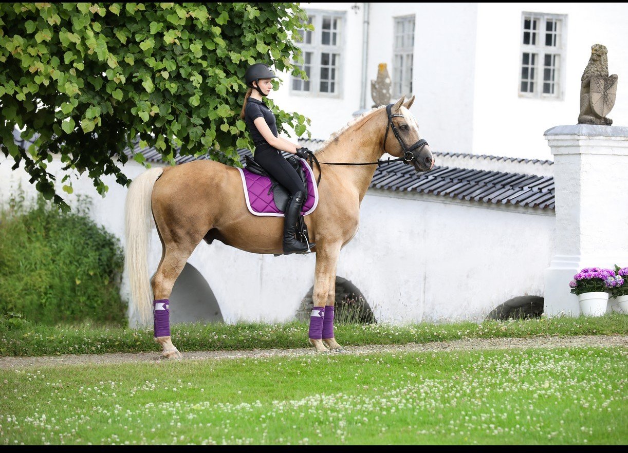 SD Design Schabracke My Passion purple dream