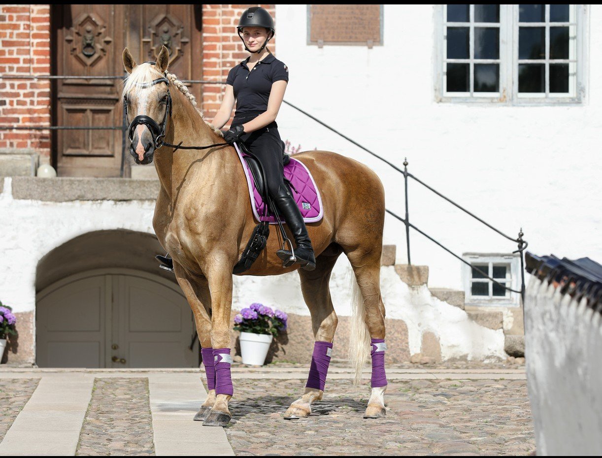 SD Design Schabracke My Passion purple dream