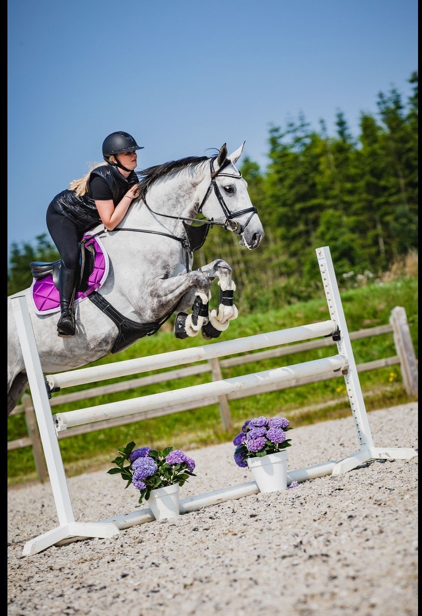 SD Design Schabracke My Passion purple dream