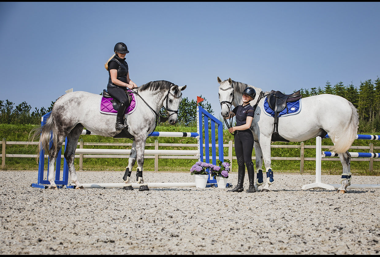 SD Design saddle pad My Passion blissful sea