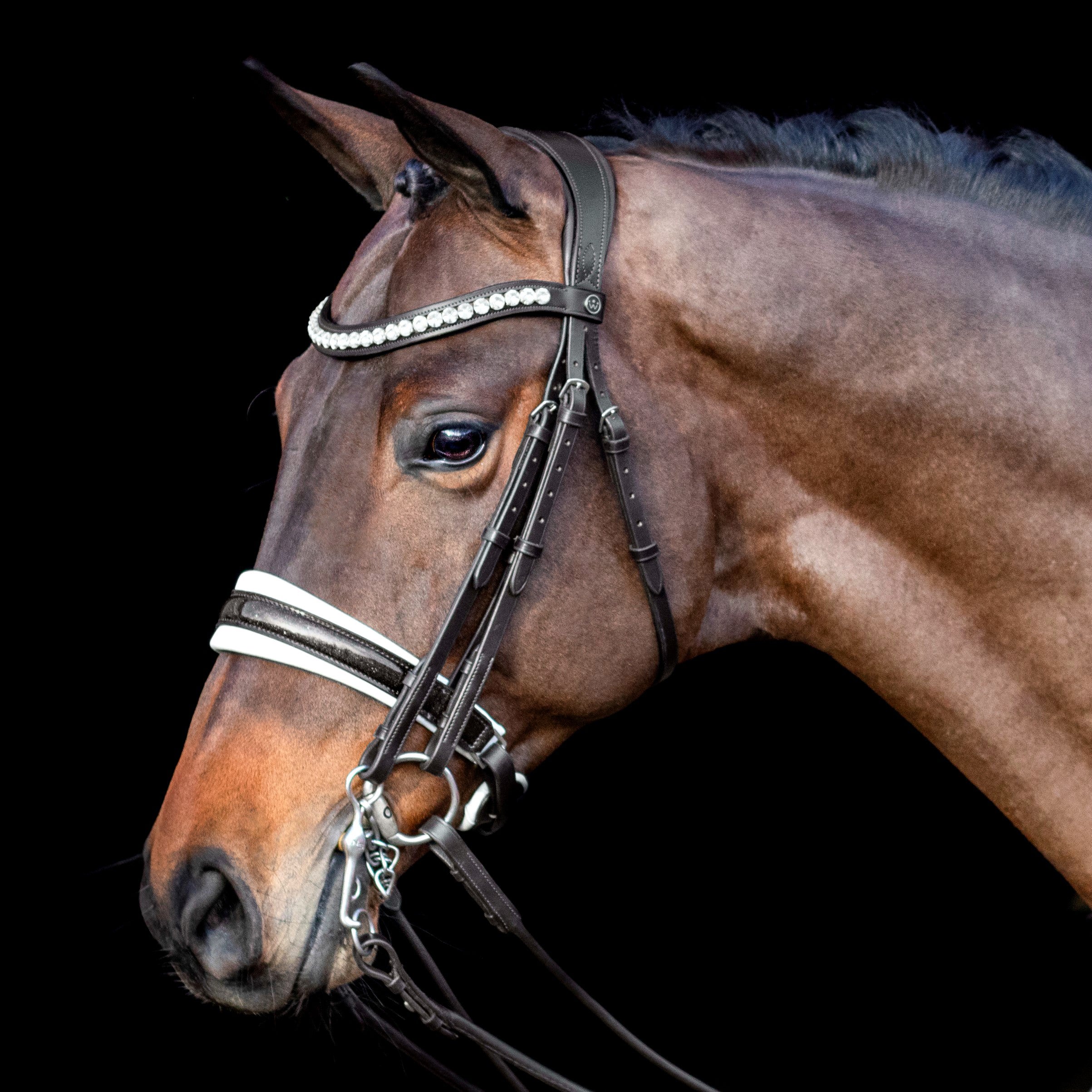 SD Design Bridle Mystery black glitter varnish with white lining