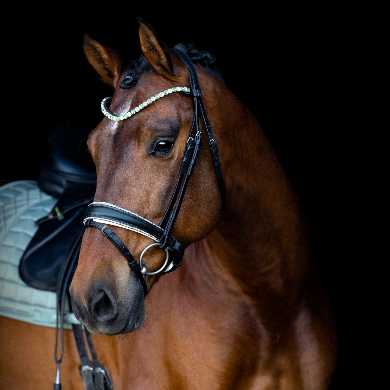 SD Design noseband Swedish combined black with crystal rocks decorative piping white lined