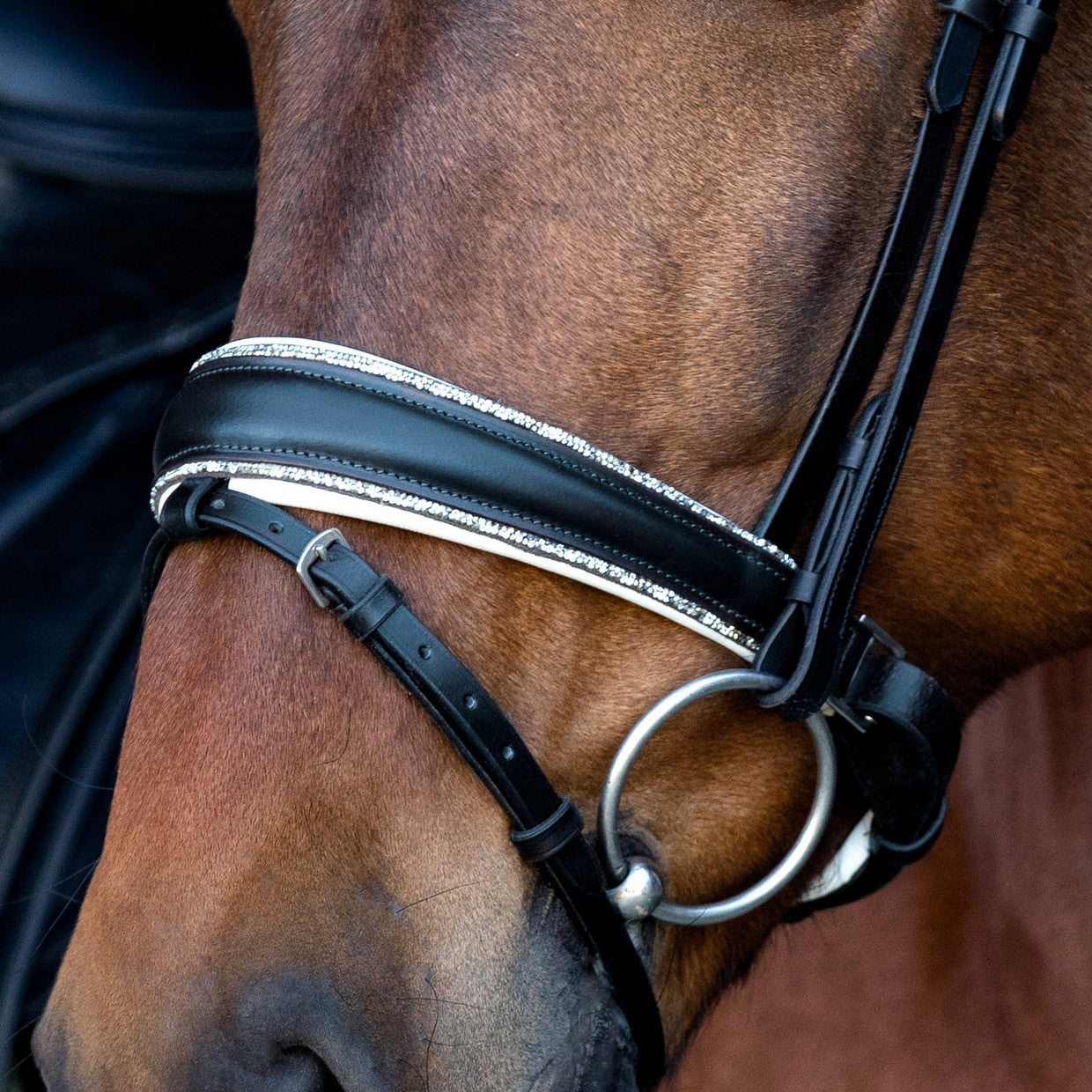 SD Design noseband Swedish combined black with crystal rocks decorative piping white lined