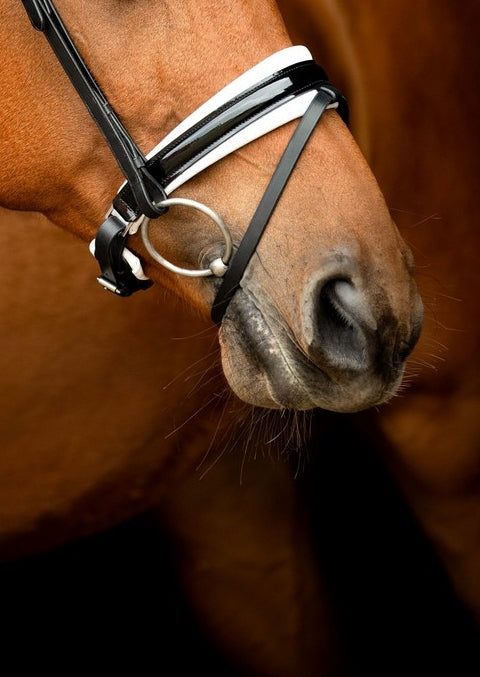 SD Design noseband Swedish combined black patent white lined