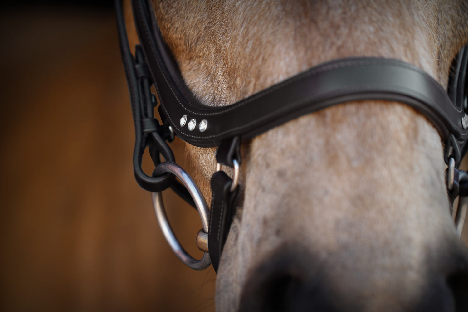 SD Design noseband anatomical with crystals