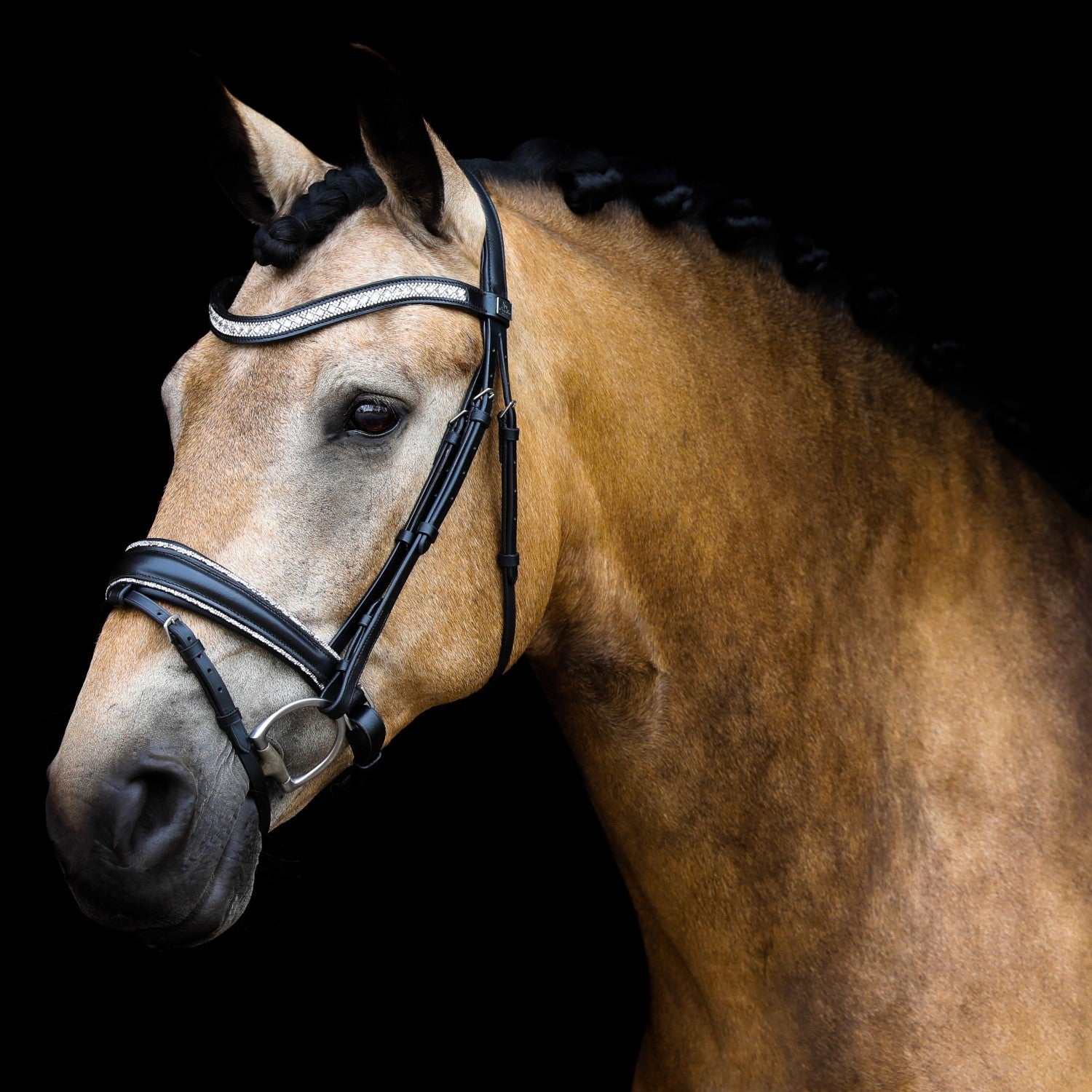 SD Design noseband Swedish combined black with crystal rocks decorative piping