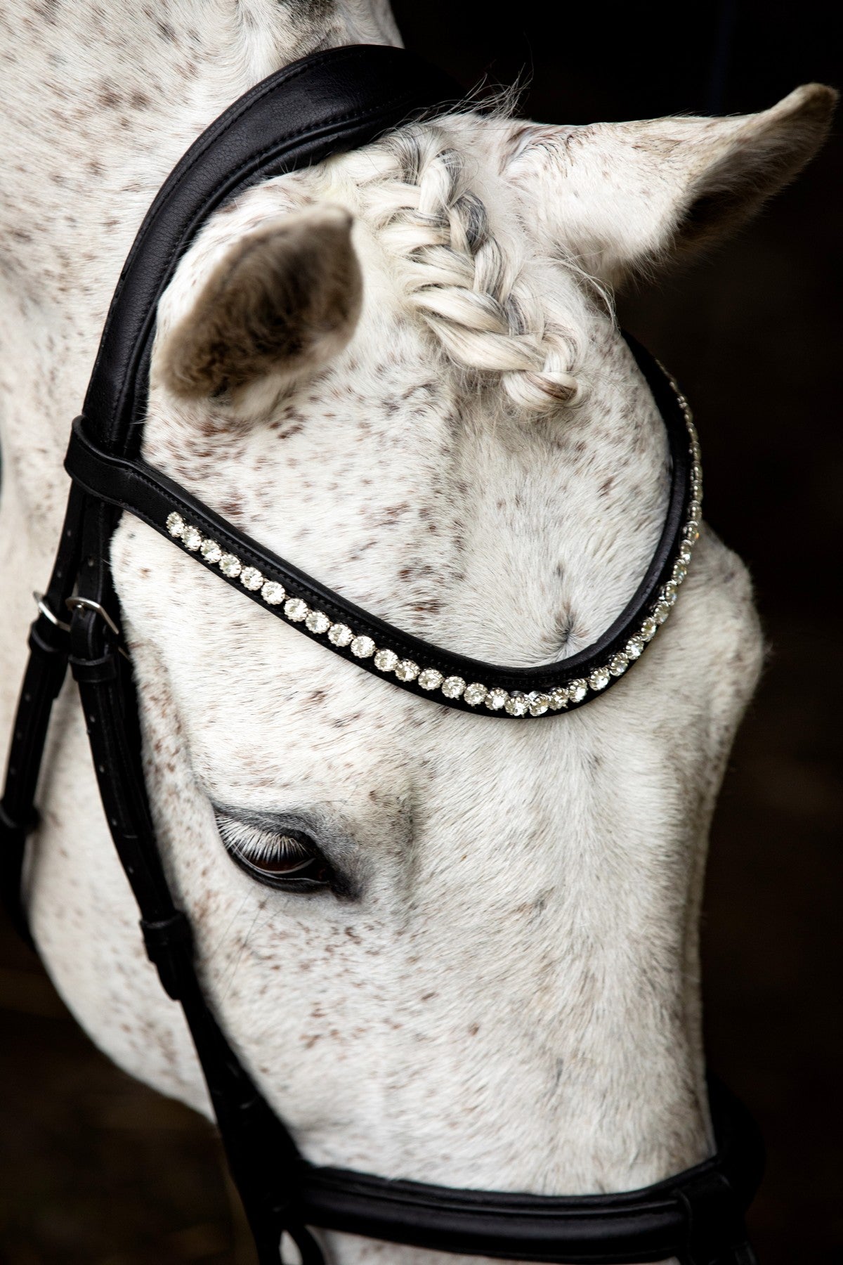 SD Design Bridle Leerox black with removable flash strap