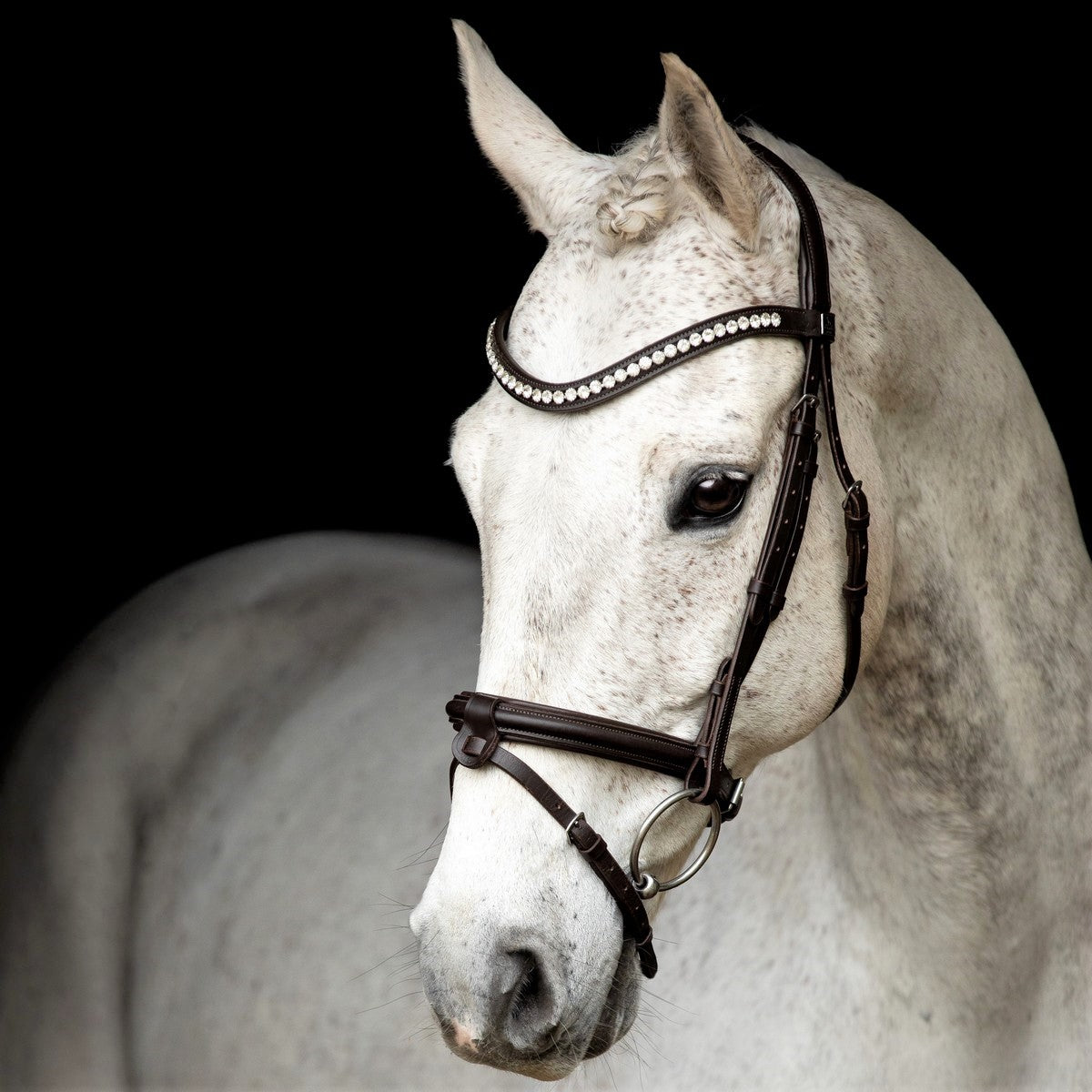 SD Design Bridle Leerox brown with removable flash strap