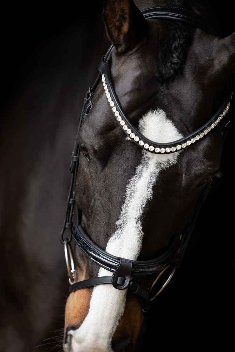 SD Design Bridle Leerox black glitter varnish with removable flash strap