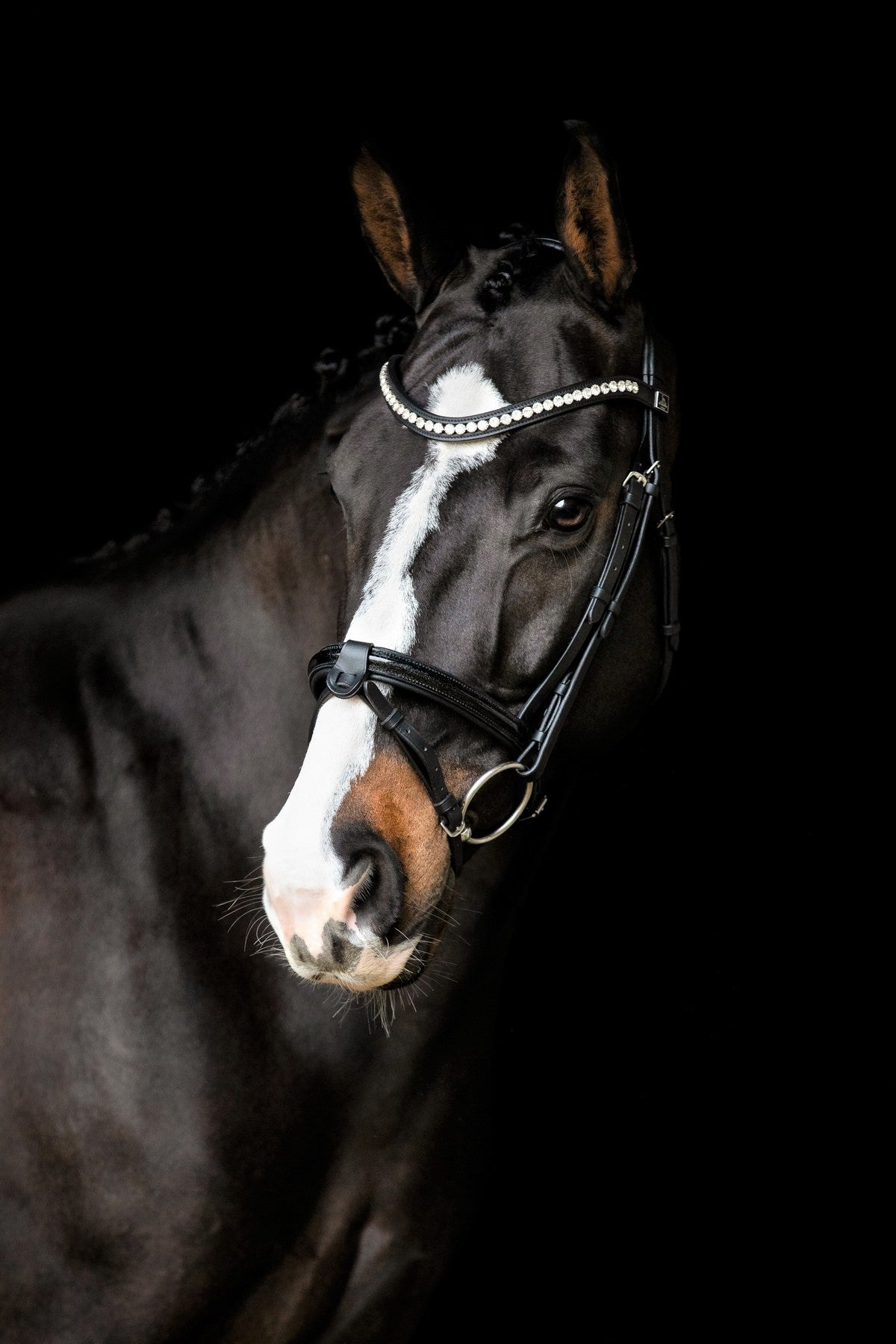 SD Design Bridle Leerox black glitter varnish with removable flash strap