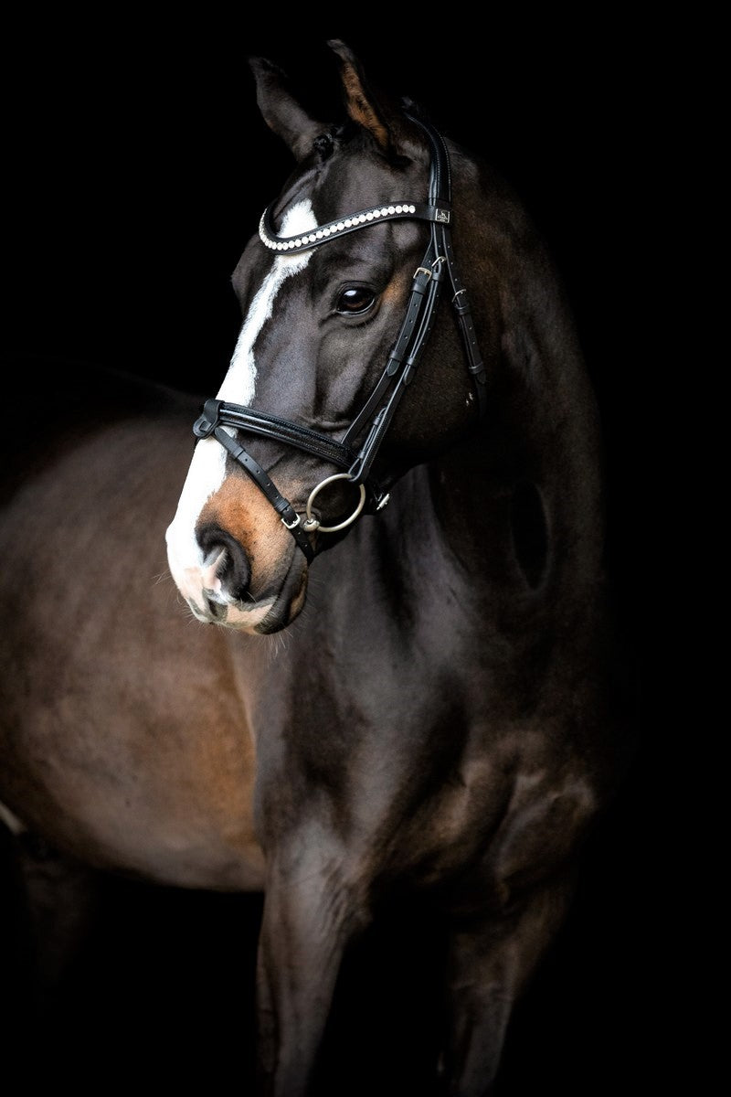 SD Design Bridle Leerox black glitter varnish with removable flash strap