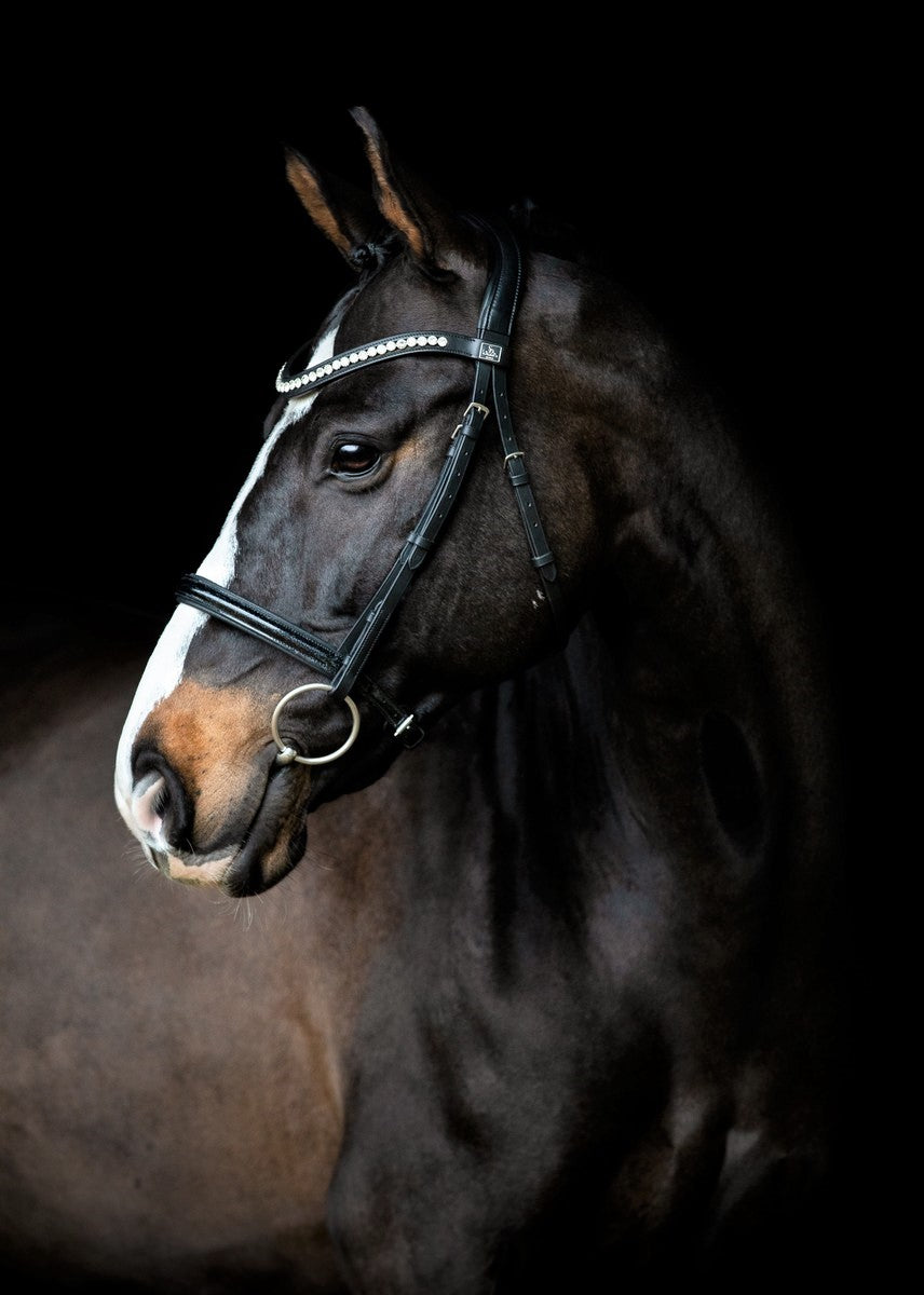 SD Design Bridle Leerox black glitter varnish with removable flash strap