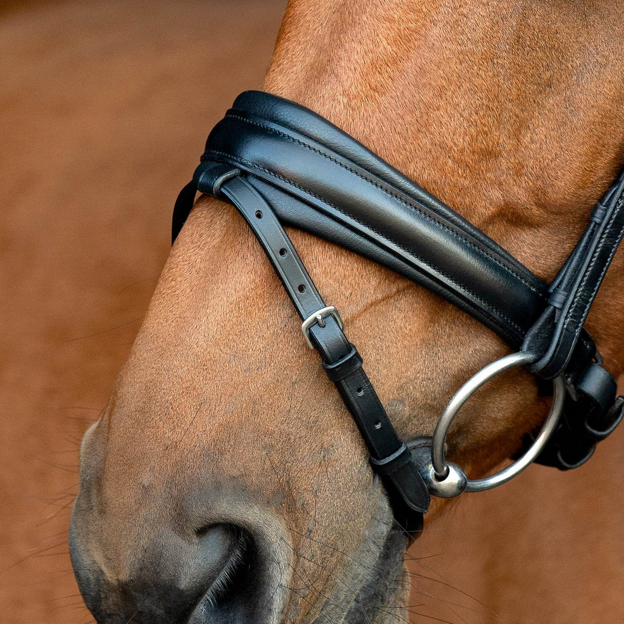 SD Design noseband Swedish combined black