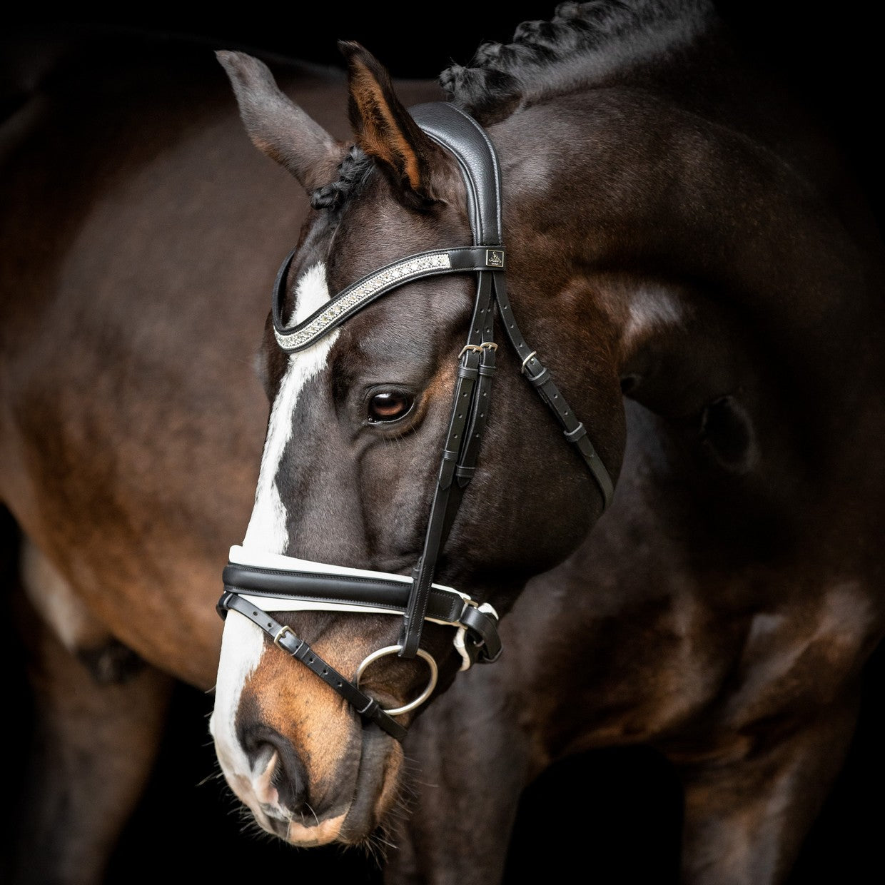 SD Design noseband Swedish combined black and white lined