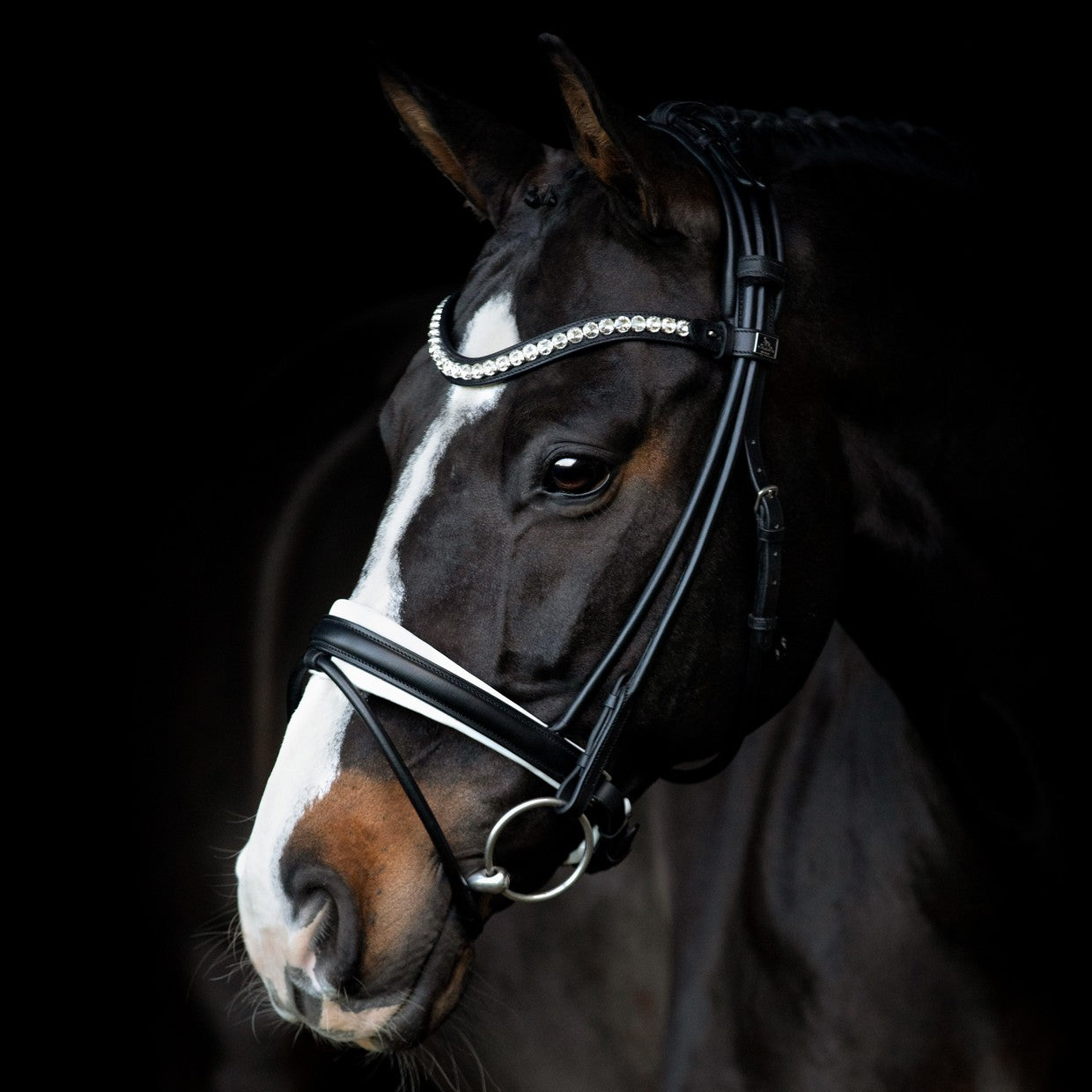 SD Design Bridle Duke de Niro II black round stitched white lined