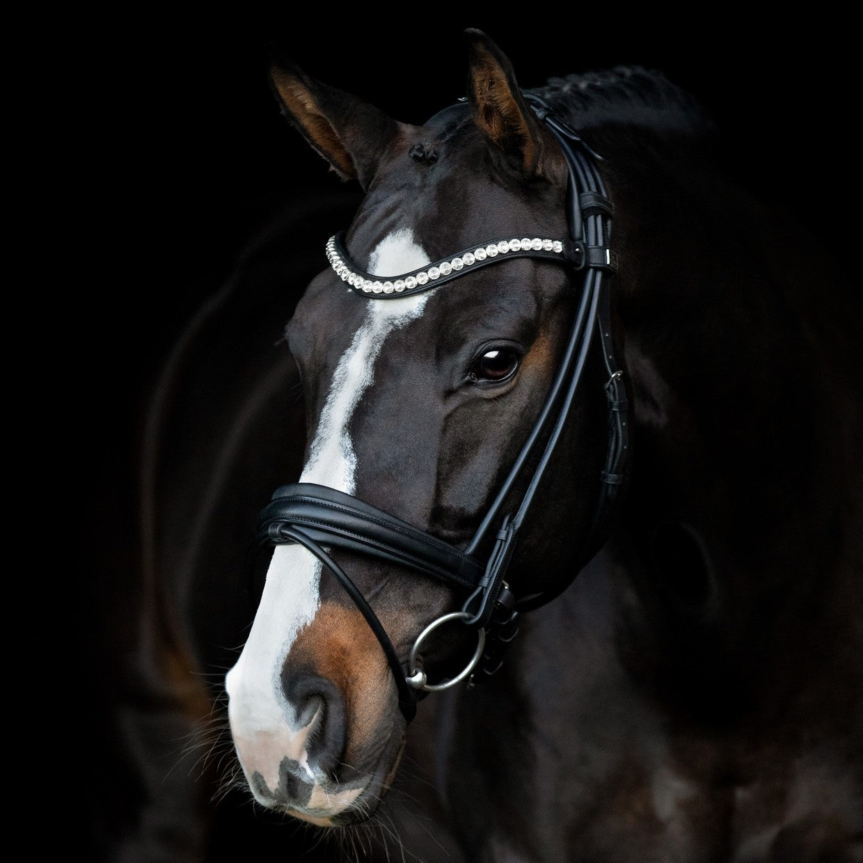 SD Design Bridle Duke de Niro II round stitched black