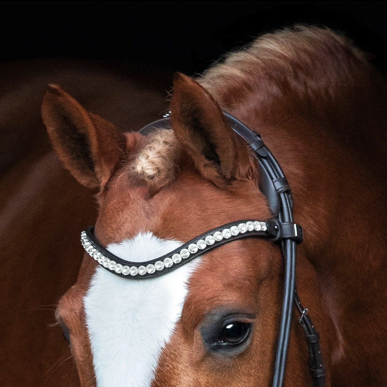 SD Design Bridle Duke de Niro II round stitched black