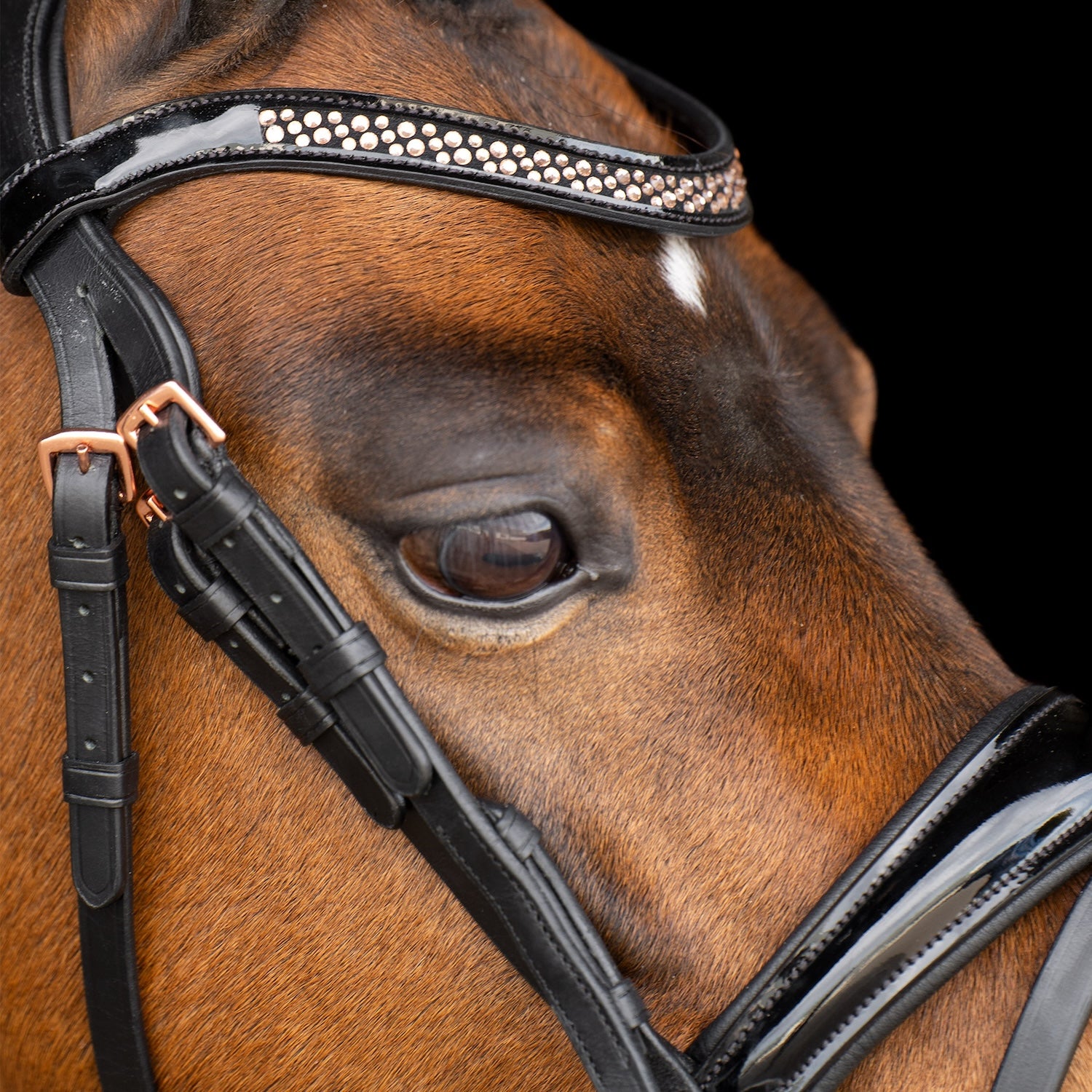 Imperial Riding Pony Bridle IRHPetit Black Rose patent black with rose gold fittings