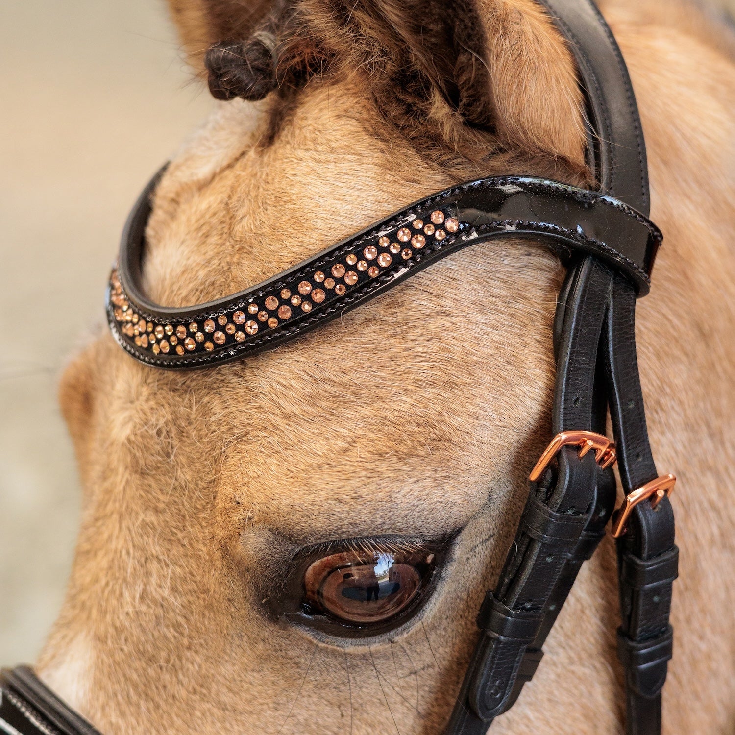 Imperial Riding Pony Bridle IRHPetit Black Rose patent black with rose gold fittings