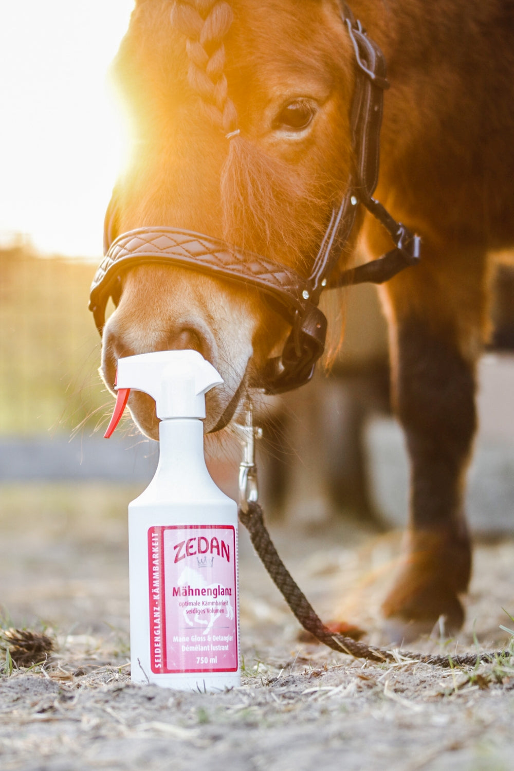 ZEDAN Mane Shine for silky shine and more volume
