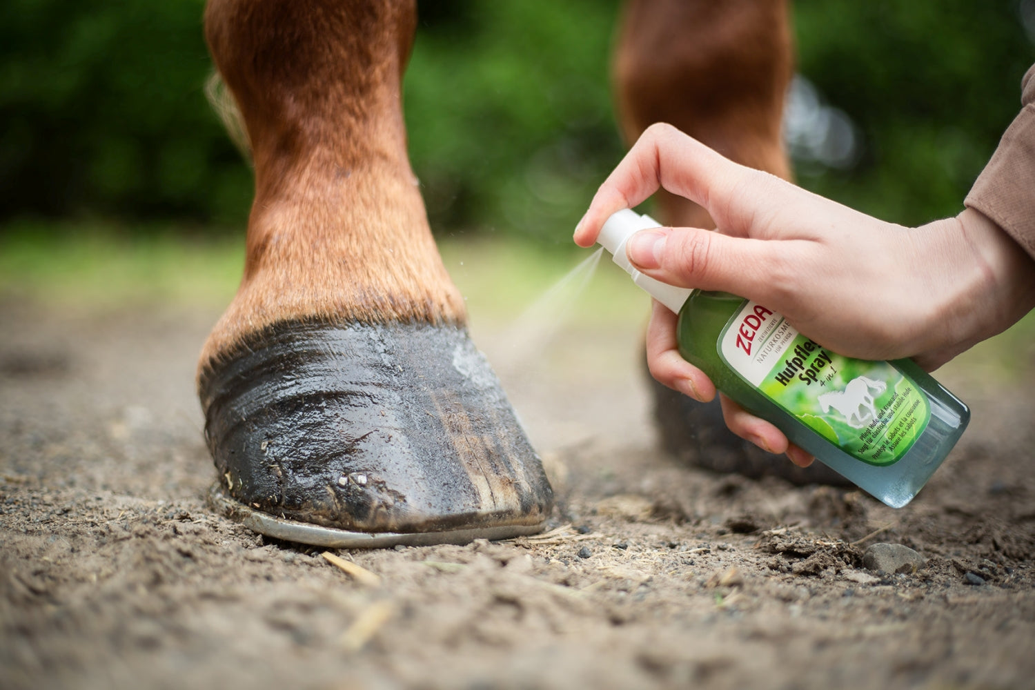 ZEDAN Hufpflege Spray 4 in 1 zur nachhaltigen Pflege von Hufwand, Kronrand, Strahl und Sohle