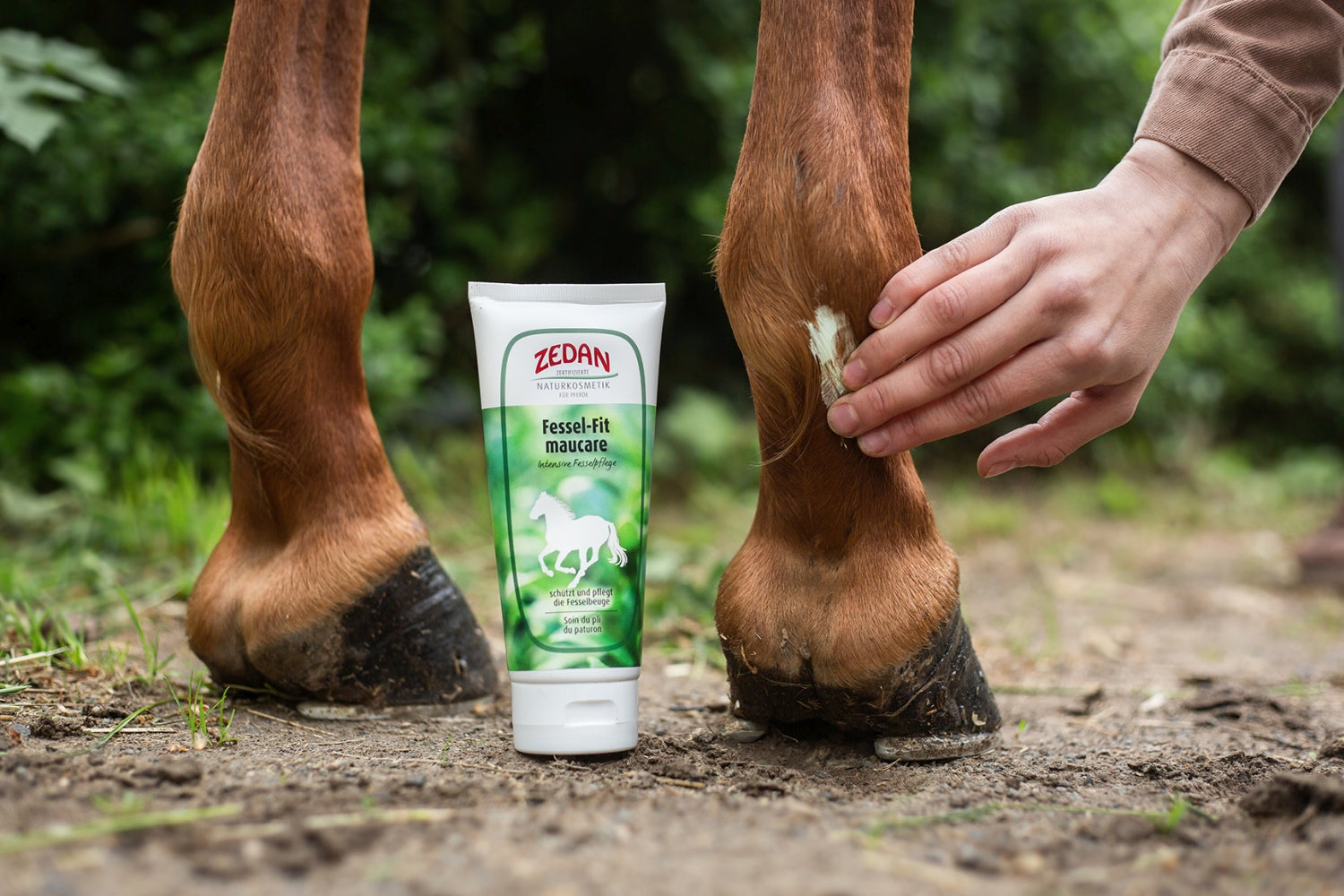 ZEDAN Fessel-Fit maucare zum Schutz der Fesselbeuge und bei Mauke