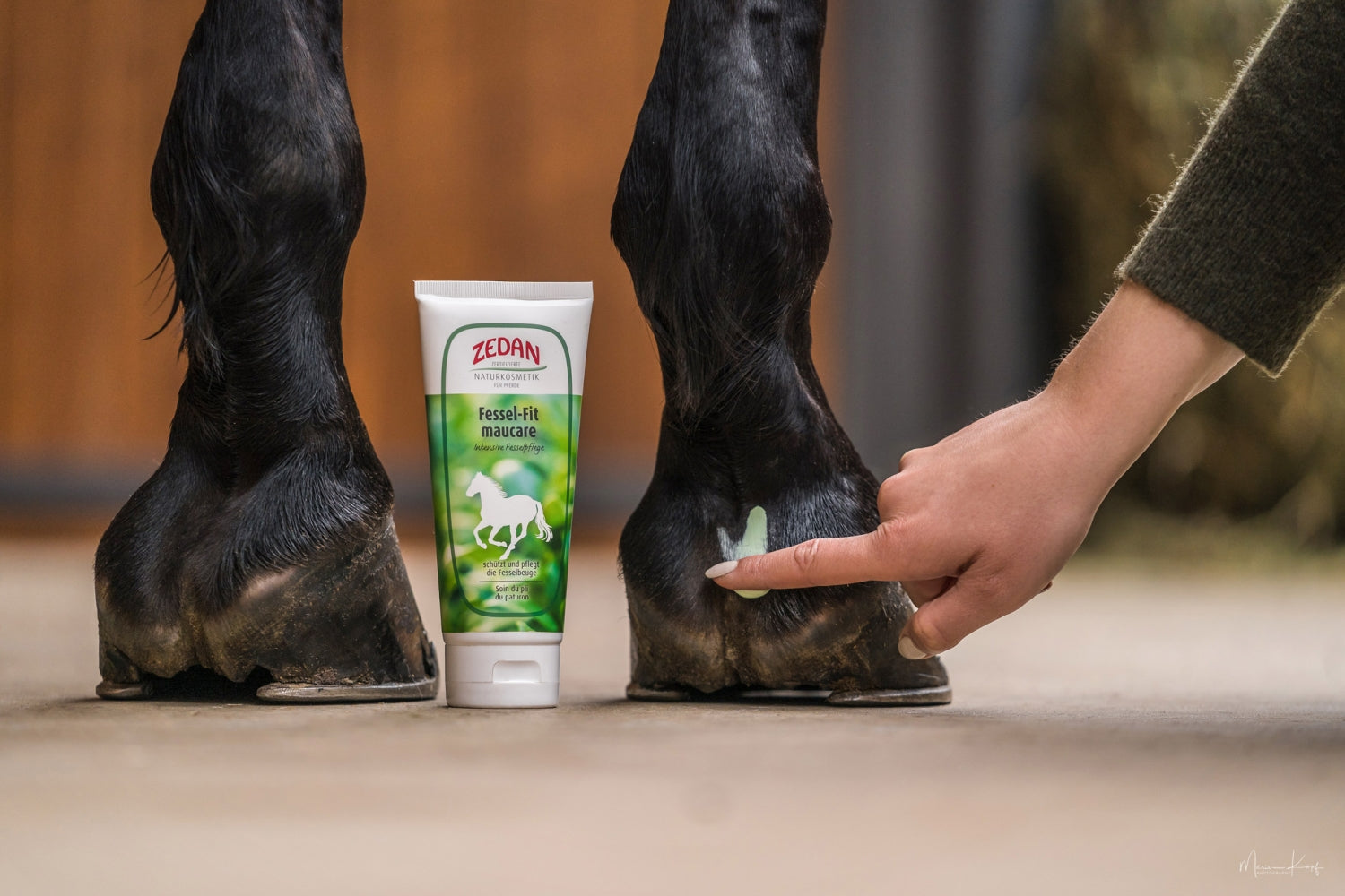 ZEDAN Fessel-Fit maucare zum Schutz der Fesselbeuge und bei Mauke