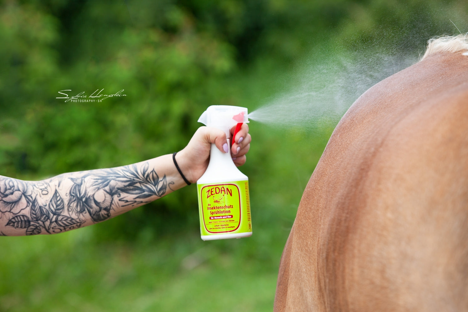 ZEDAN SP Insektenschutz Sprühlotion Fliegenspray für Mensch und Pferd