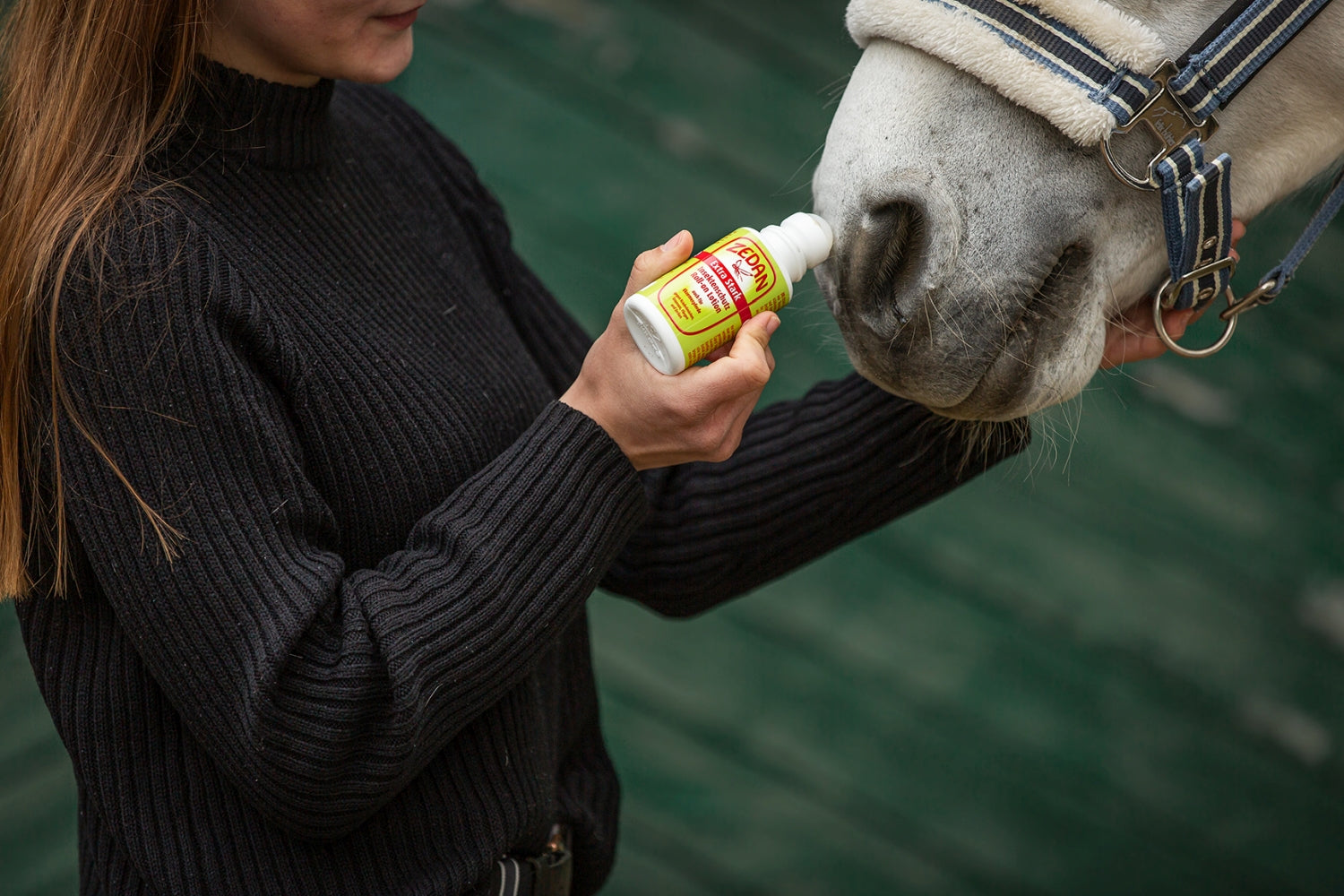 ZEDAN SP - extra stark - Insektenschutz Roll-on Lotion