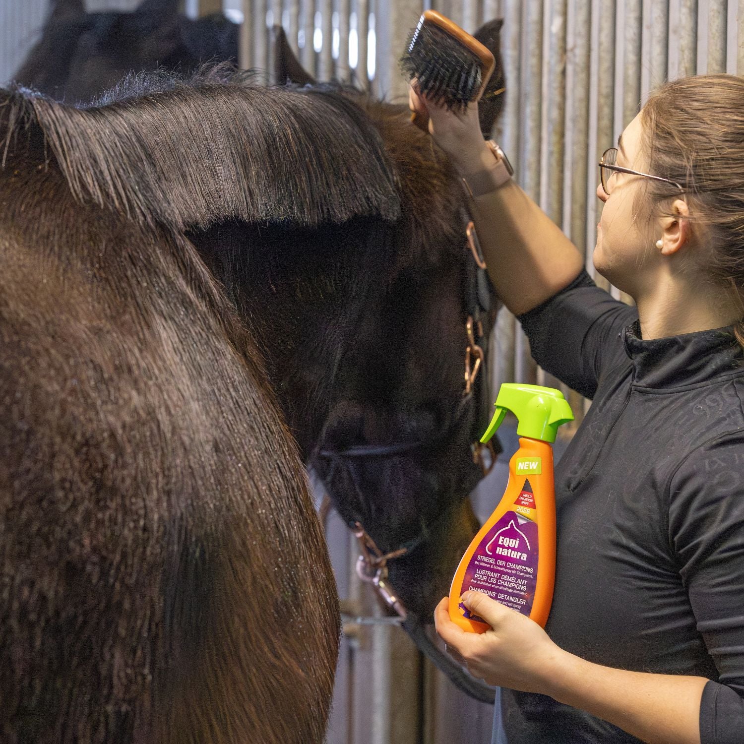 Authentisches Anwendungsfoto aus dem Reitsport-Alltag: Eine Reiterin hält das Equinatura Striegel der Champions Glanzspray in der Hand, nachdem sie das pflegende Fellglanzspray gezielt in die Mähne des Pferdes gesprüht hat. Dank der hochwirksamen Rezeptur des Mähnensprays lässt sich das Langhaar nun völlig mühelos und knotenfrei durchbürsten, was die tägliche Pflegeroutine für Pferd und Reiter spürbar erleichtert.