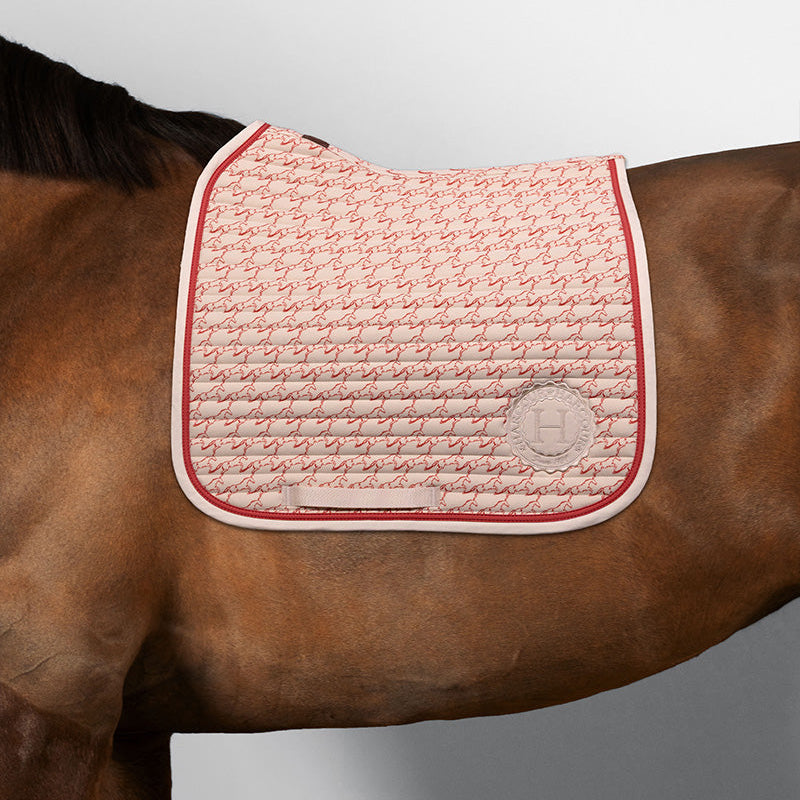 Harcour Dressurschabracke Karembar in Jump Shell Beige mit Grapefruit-Kontrast auf einem braunen Pferd. Zu sehen ist der anatomische Schnitt am Widerrist, die horizontale Steppung und die korallefarbene Litze. Die warme Farbe Shell harmoniert perfekt mit dem braunen Kurzhaar und schwarzem Langhaar des Pferdes. Geeignet für langes Sattelblatt.