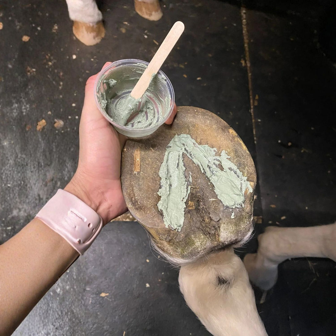 Keratex Thermal Hoof Clay Kit selbstwärmende Hufpaste